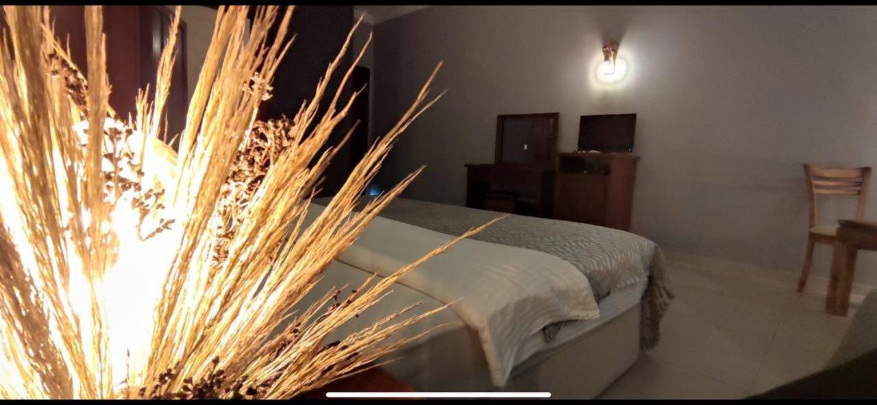 Bacahan Hotel Altinoluk Ngoại thất bức ảnh